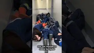 #рсо #завод #студент #камчатка #работа