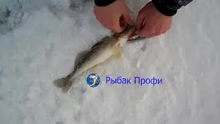 Рыбалка на зимние воблера и балансиры.....Рыбак профи