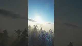 Foggy sunset ❄️☀️☁️ #winter #snow #fpv #fpvdrone #drone #whoah #shorts #fyp #gopro