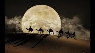 Носит ветер