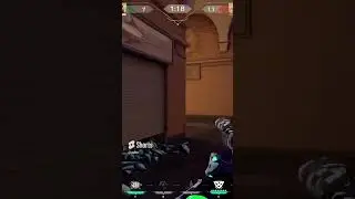 The Perfect Cheating Crosshair...  