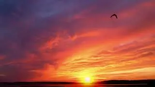 Drone shots  videos  Drone footage