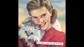 Funny Sarcastic Retro Pictures From The 50's