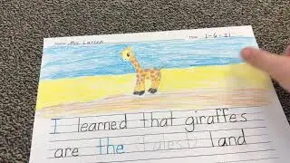 Giraffe Writing - SD 480p