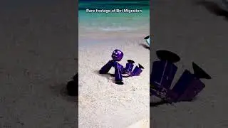 How 