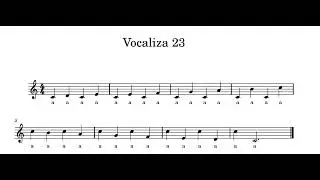 Vocaliza 23