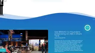 Обзор проекта Bravo ICO