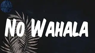 No Wahala - (Lyrics) 1da Banton