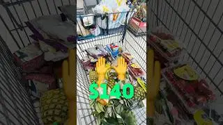 1 Minute Aldi Grocery Haul ($140)
