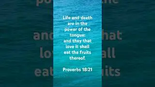 ☝🏼Proverbs 