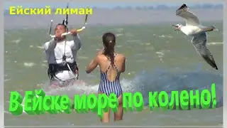В Ейске море по колено! Отдых на Азовском море. Фруктовое изобилие юга России.