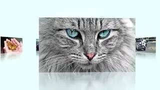 Image Carousel Slideshow Tutorial in After Effects