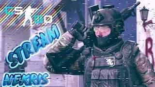 CS:GO | Играю в соревновательном и напарники | Nekris
