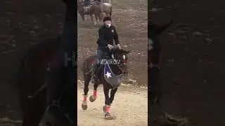 Руслан Полвон | 2024
