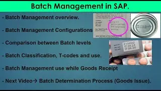 22.01) Batch Management  