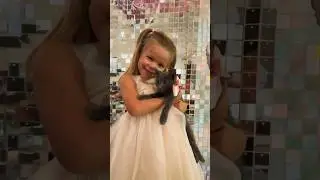🎀#счастьерядом #счастье_есть #happybirthday #catvideos #baby #cute #pets #люблюжить #милыекотики #я
