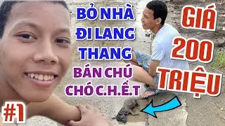 Bỏ nhà đi lang thang cậu thanh niên 19 tuổi ôm theo chú chó “RAO BÁN GIÁ 200 TRIỆU” thật hư ra sao…?