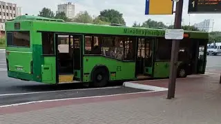 Минская Обл. (Беларусь) | Поездка на Автобусе; МАЗ-103.486; АС 2925-5; марш. 224с. (08.08.2024 г.)