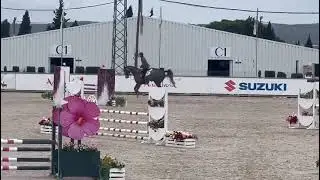 Leestone , gelding 2018 by Cornet Obolensky x Cascarillo