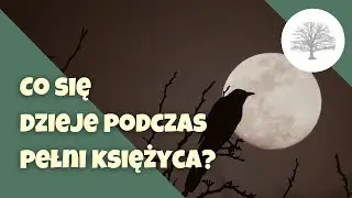 Na co ma wpływ pełnia księżyca?