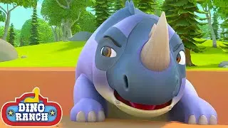¡El dinosaurio agresivo! | Dino Ranch Español