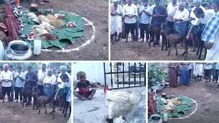 dawath village show my village show gangavva first