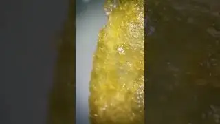 DIY - How do you like the CHIPS Under The Microscope 👀 
