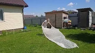 Урожайный огород Перца будет море Подкормка растений СУПЕР