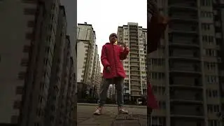 ракушка #shorts