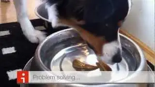 Problem solving