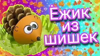 милый ёжик из шишек легко за 5 минут   DIY. Поделка в школу (садик) из природных материалов