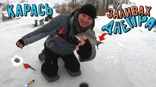 Ловля Карася зимой на заливах Днепра!