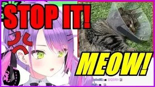 Towa Had A Fight With Her Cat Because...【Hololive | Eng Sub】