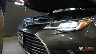2017 Avalon - Walk Around