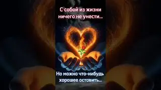 8 мая 2024 г.