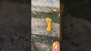 Land Surveying - Reference Mark - Drill hole and wing 
