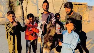 Competition with Asrar vs Ahtsham Asrar winer || Naveed bhai.