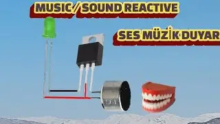 Ses / müzik ritmine göre yanan devre | sound  / music reactive circuit | 5v | basit | DIY