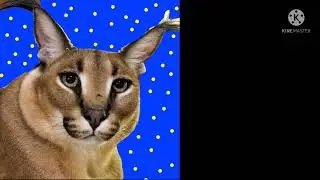 Грустные лица шлеппы😺. Моя версия (шаблон) Идея взята у каналов в описании👇