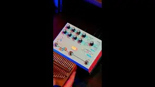Hologram Microcosm: Looping Kalimba
