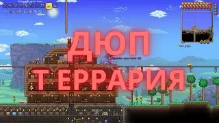 Террария дюп монет | Баг в террарии