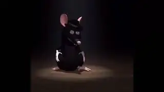 rat dance