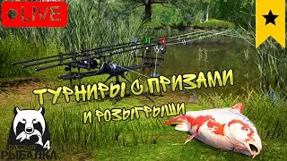 🔴ПРЯМОЙ ЭФИР В РР4/ИГРАЕМ ТУРНИРЫ С ПРИЗАМИ+РОЗЫГРЫШИ🎁