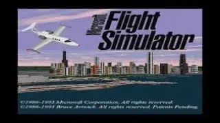 MS Flight Simulator 5.1 (1995)