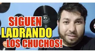 Si los PERROS LADRAN señal que vas AVANZANDO!
