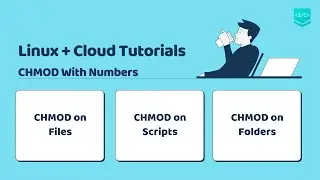 How to use CHMOD in Linux