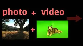Create Creative Video in After effect - #graphic