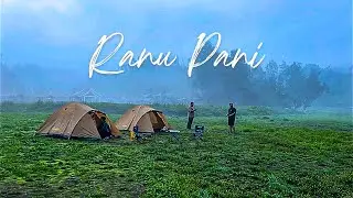 Perjalanan ke Ranupani Lumajang. Ada penginapan keren di tengah hutan.