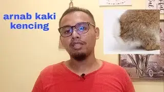kenapa arnab kencingkan kawan dia
