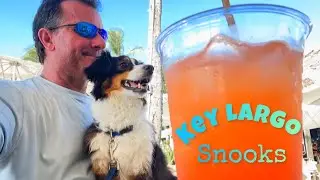 Florida Mini Loop Ep.22 - Sunset Cove Key Largo